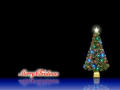 ライトアップ・クリスマスツリー2